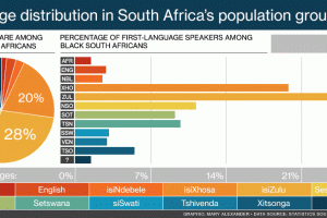 Animated infographic of South Africa's languages by population group