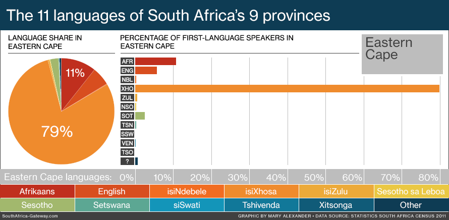 Animated infographic of South Africa's languages according to province.