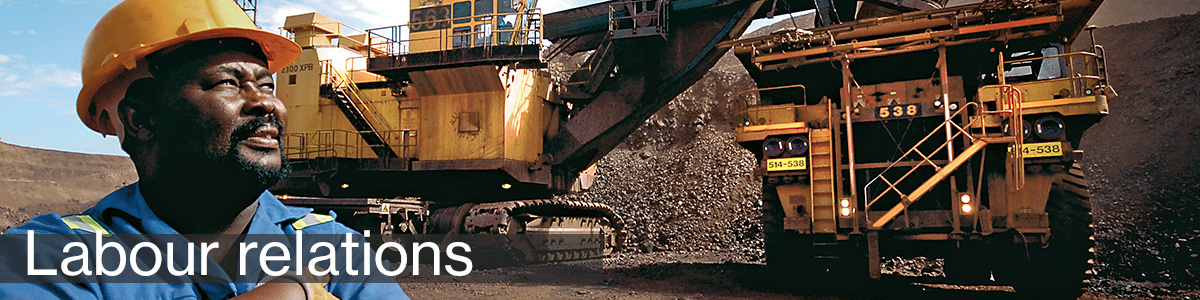 The plain language guide to South Africa's Bill of Rights