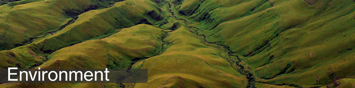 The plain language guide to South Africa's Bill of Rights