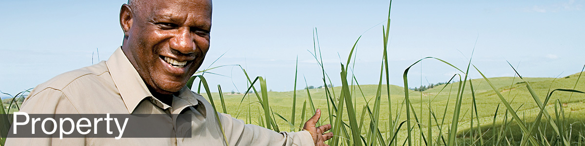 The plain language guide to South Africa's Bill of Rights