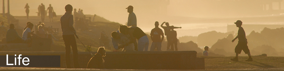 The plain language guide to South Africa's Bill of Rights