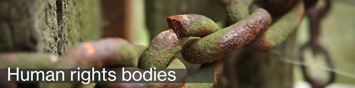 The plain language guide to South Africa's Bill of Rights