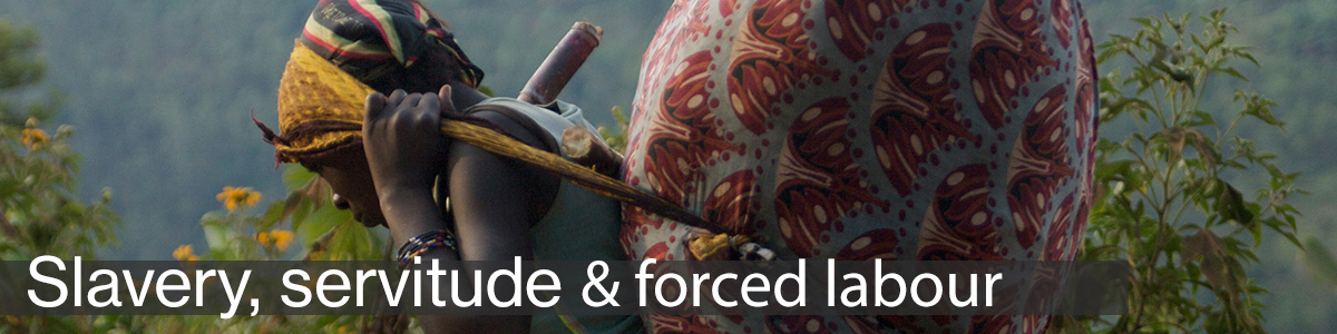 The plain language guide to South Africa's Bill of Rights