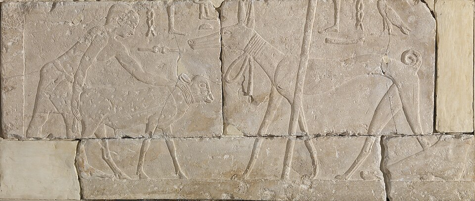 File:Egyptian - Man with Calf and Dog - Walters 22422.jpg