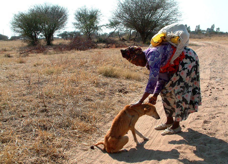 Africanis and owner in rural Namibia. (Johan Gallant, © Africanis Society)