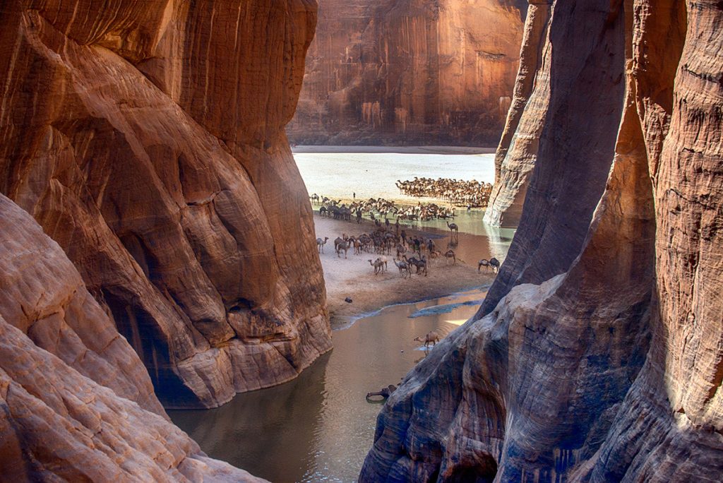 Africa - Chad - Guelta Archei on the Ennedi Plateau, a sandstone bulwark in the middle of the Sahara