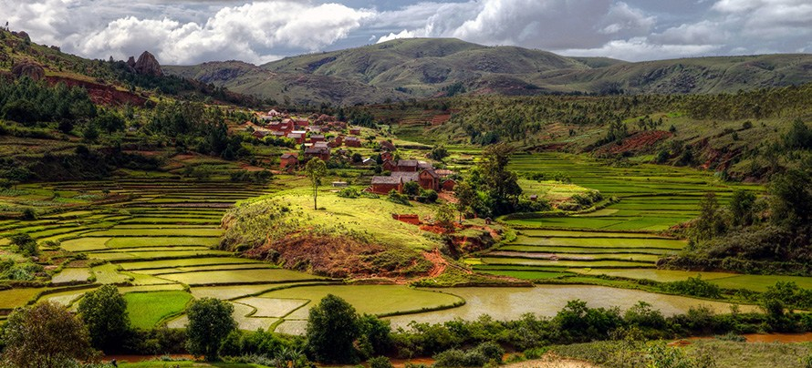 Rice fields and hillscapes encirle a village near Toamasina in the Atsinanana region of eastern Madagascar. (Mariusz Kluzniak, CC BY-NC-ND)