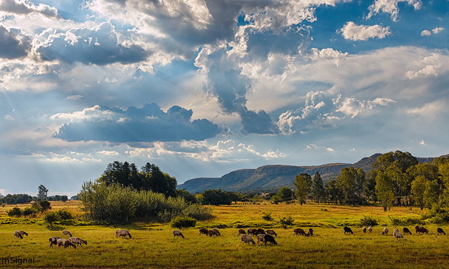 Rain clouds build up over farmland in the Magaliesberg region of North West province towards the end of a warm summer's day.
