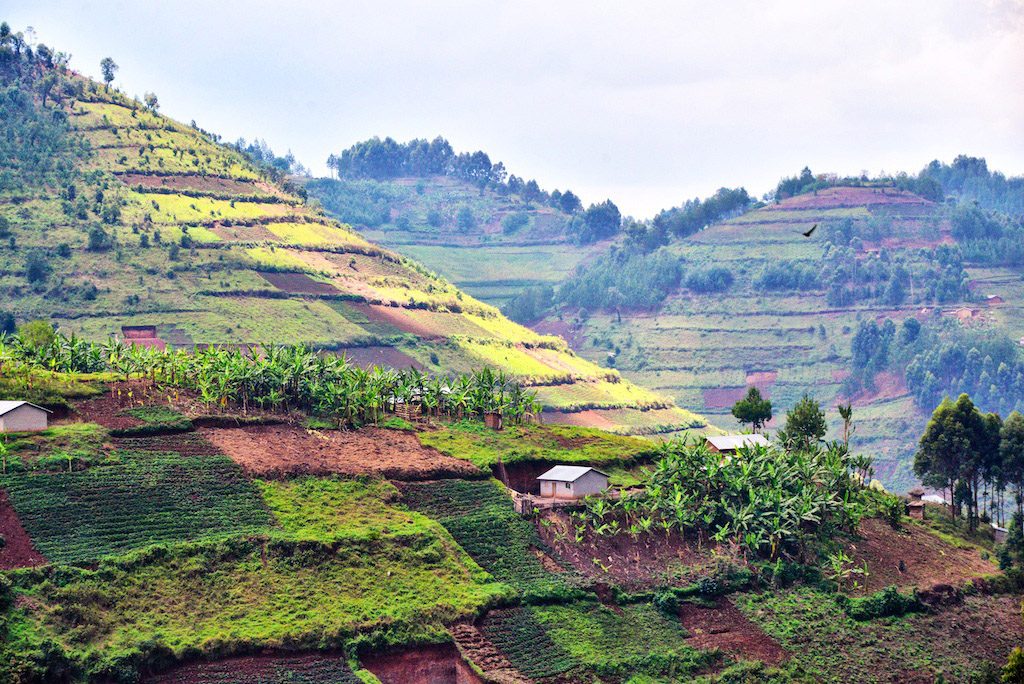 Africa - The fields of small-scale farmers blanket hillsides in Kikungiri near the town of Kabale in southeastern Uganda.