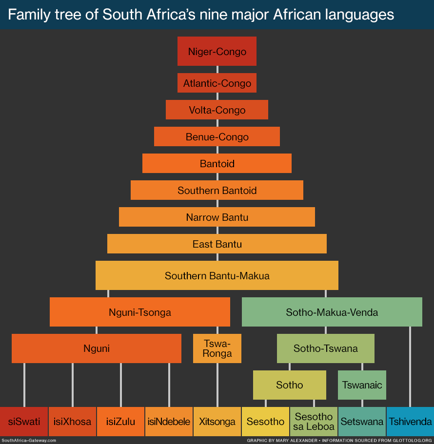 Infographic showing the origins and classification of South Africa's nine major African languages: isiNdebele, isiXhosa, isiZulu, Sesotho sa Leboa, Sesotho, Setswana, siSwati, Tshivenda, and Xitsonga. 
