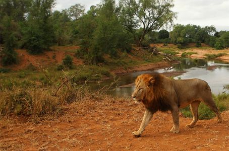 Kruger National Park