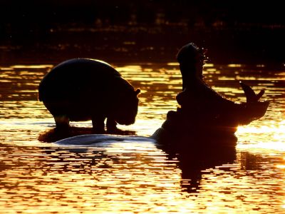 Pilanesberg National Park